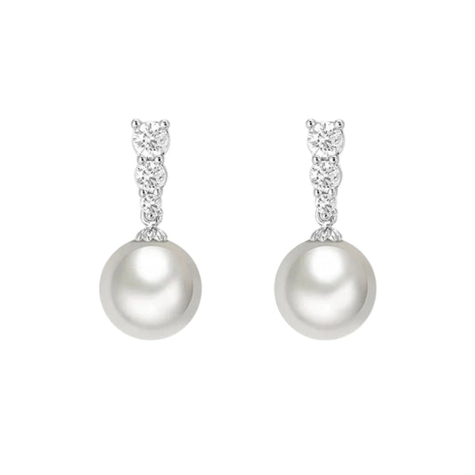 ვერცხლისფერი საყურე